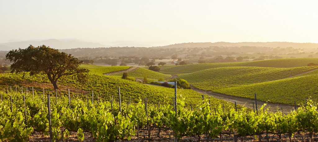 Group vacations in Champagne