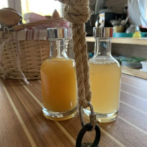 Reve-de-Robinson-Monedieres-11-1024x678