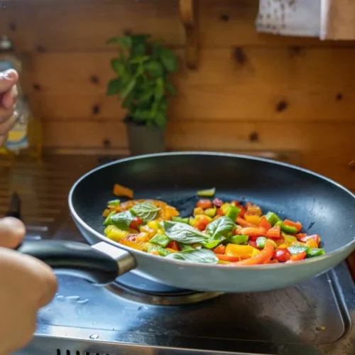 Roulotte-Gite-Monedières-11